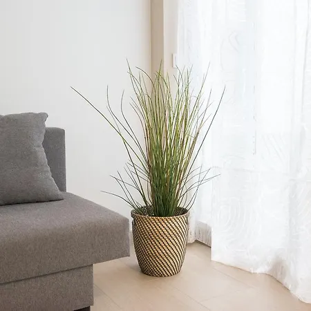 Pena Center Apartment *