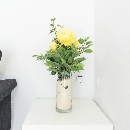 Pena Center Apartment Malaga