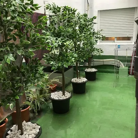 Apartment Pena Center *